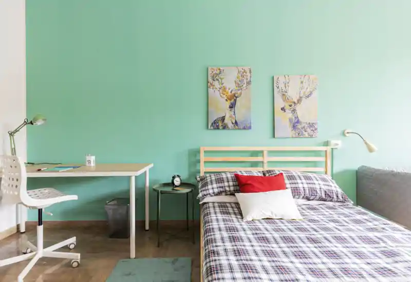 Bright, modern bedroom with a wooden bed, patterned bedding and a small desk — ideal for a student or single occupant. The turquoise accent wall and decorative prints create a fresh, inviting atmosphere.