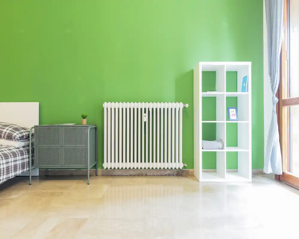 Bright, minimalist bedroom corner with a plaid bed partially visible, a white radiator, and an open shelving unit against a vivid green wall; large window brings abundant natural light.