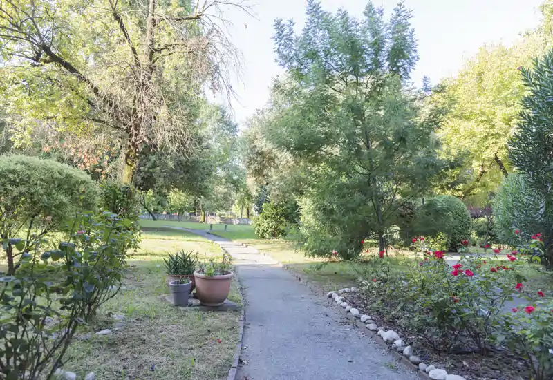 Sunny garden path lined with potted plants and flowering shrubs, leading through a leafy park area—bright, well-maintained outdoor space.