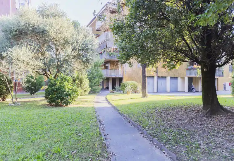Sunny communal garden and walkway in front of an apartment block, with mature trees, lawn and balconies visible — a pleasant outdoor communal space.