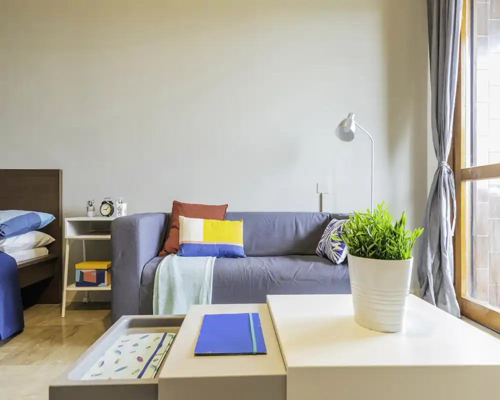 Zona giorno luminosa e curata con divano grigio, cuscini colorati e tavolino con vaso; la luce naturale dalla finestra rende l'ambiente accogliente.