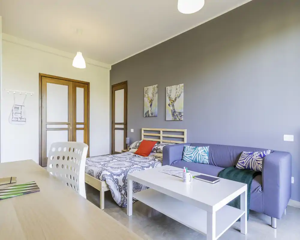 Camera da letto in stile monolocale, luminosa e moderna, con letto matrimoniale, comodino e piccolo angolo salotto con divano e tavolino; parete grigia e cuscini colorati rendono l'ambiente accogliente.