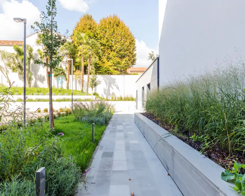 Sunny landscaped courtyard with a paved walkway flanked by planted beds and small trees, offering a pleasant outdoor circulation space.