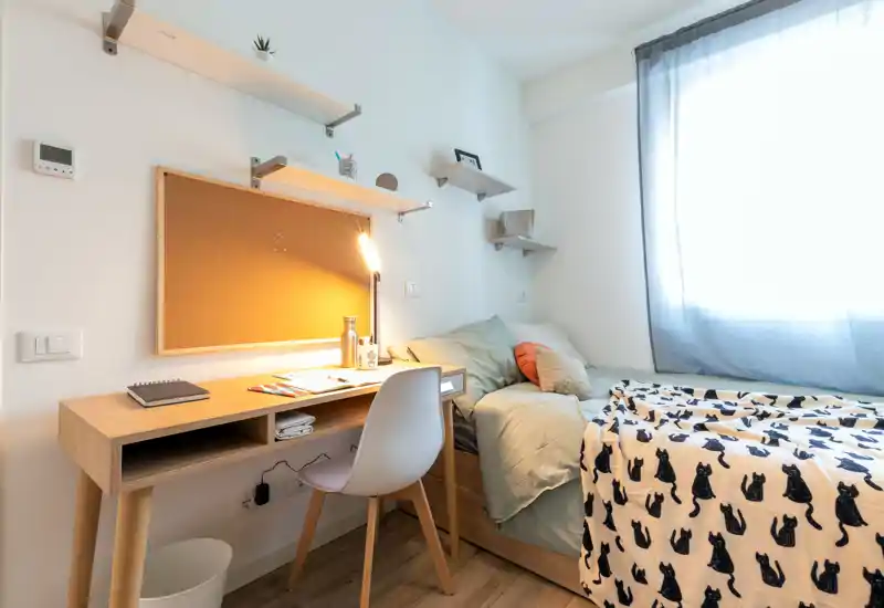 Bright, well-staged single bedroom with a wooden desk, bedside storage and a cozy bed dressed with soft pillows and a patterned throw. Natural light from the window creates a pleasant workspace next to the sleeping area.