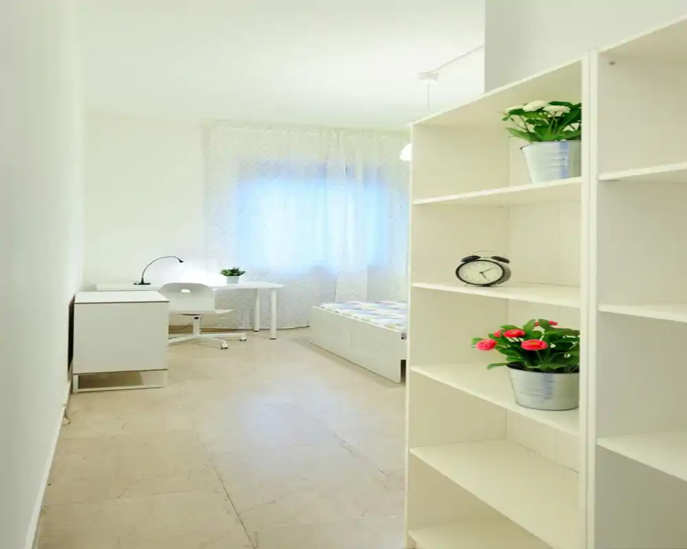 Camera singola luminosa e minimal con letto compatto, scrivania e scaffalatura; tonalità bianche, luce naturale e piante che creano un’atmosfera fresca e ariosa, perfetta per un annuncio.