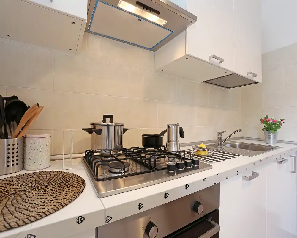 Cocina moderna y luminosa con placa de gas, horno empotrado, fregadero de acero inoxidable y accesorios decorativos como planta y utensilios.