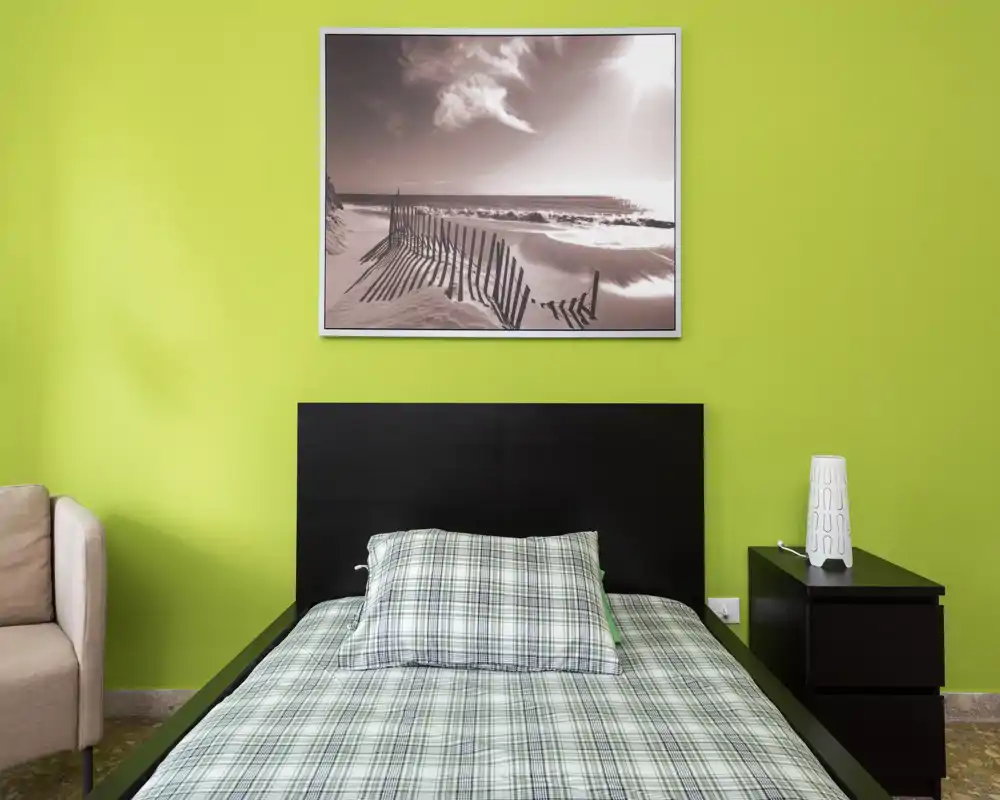 Bright, modern bedroom with a twin/double bed dressed in green-check bedding, a black headboard, bedside table and framed coastal artwork above the bed.
