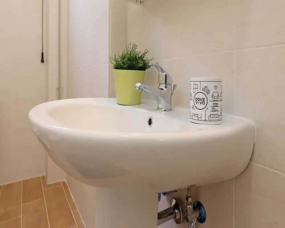 Clean, modern bathroom sink with chrome faucet, light tiles and a small decorative plant on the basin — bright, well-maintained space.