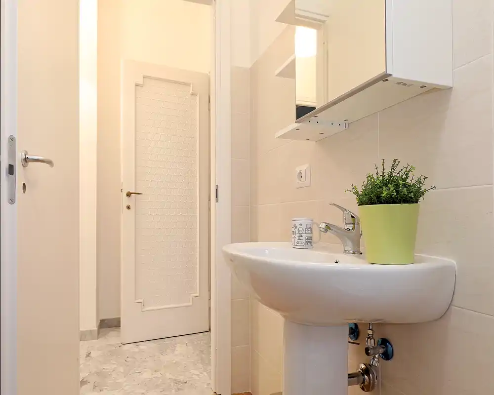 Small, well-lit bathroom with a pedestal sink, mirror cabinet and neutral tiles; neatly styled with a potted plant and cup on the sink.