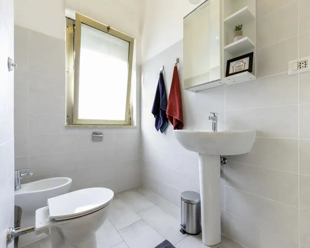 Bright, modern bathroom with pedestal sink, toilet and bidet, a frosted window and towel hooks—clean, minimal and well lit.