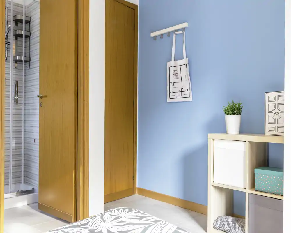 Bright entryway with a blue painted wall, coat hooks and a small storage shelf; light wood doors lead to adjacent rooms including a visible shower door.