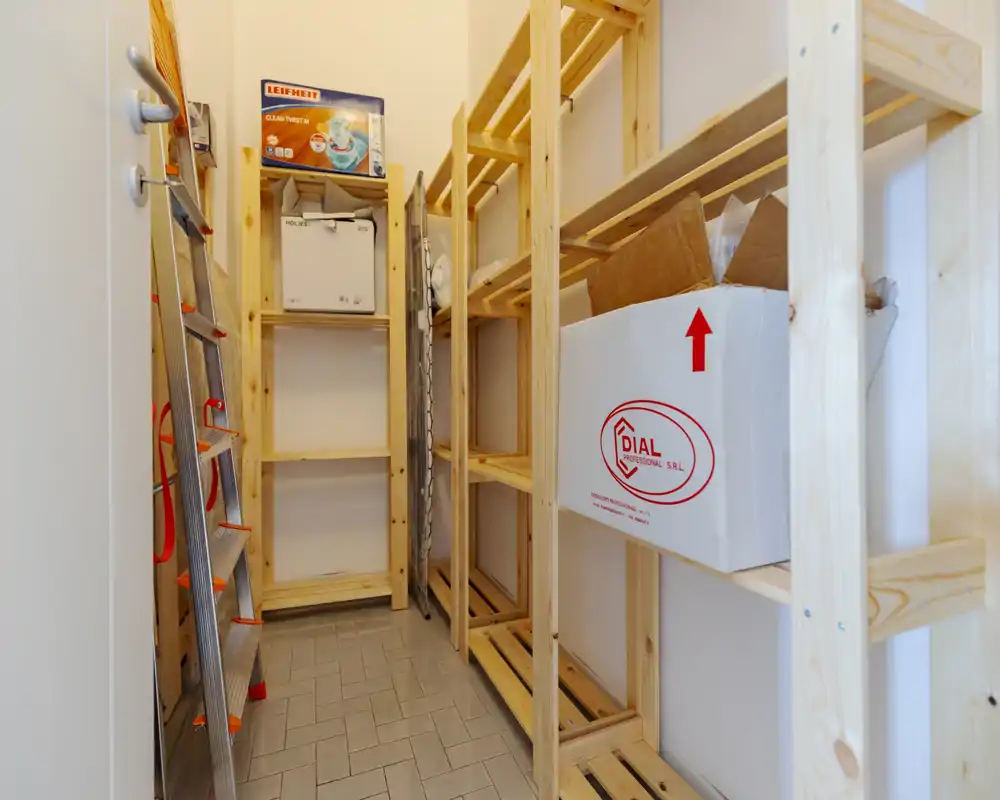 Compact storage/utility closet with wooden shelving, a folded ladder and boxes — practical space for organized storage.