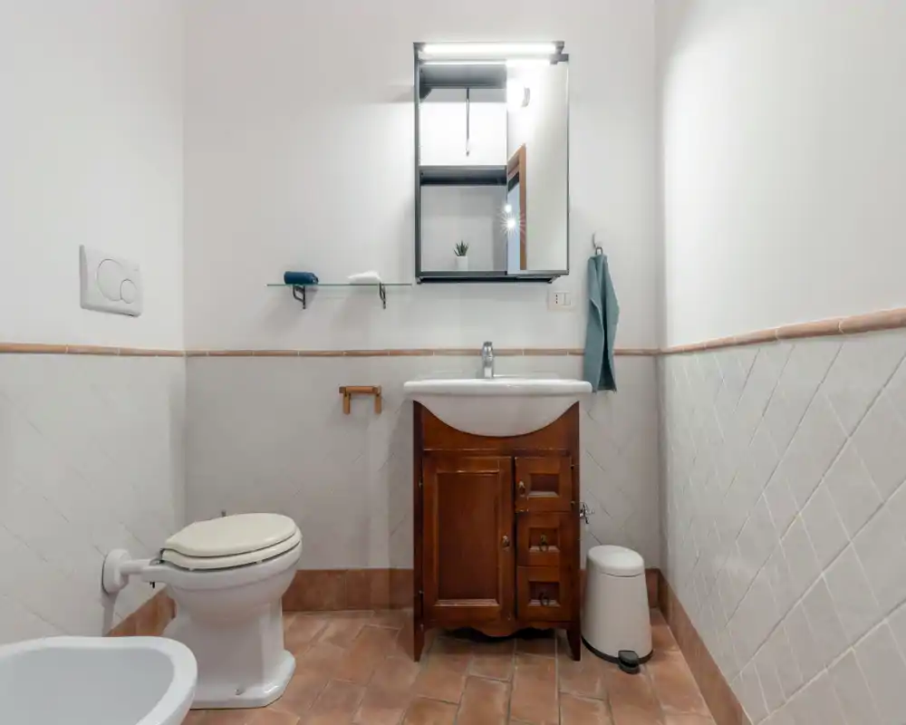 Baño limpio y bien iluminado con mueble de lavabo de madera, espejo armario y váter sobre suelo de terracota.