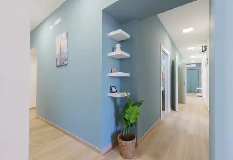 Un hall d'entrée moderne et lumineux aux murs bleus, étagères d'angle murales et plante en pot ; un sol en bois clair mène aux portes intérieures.
