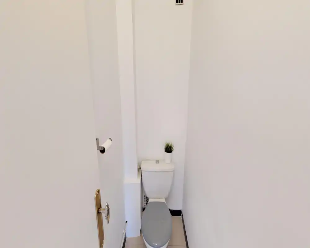 Compact, well-lit toilet room with white walls, a closed toilet with gray seat and a small potted plant on the cistern.