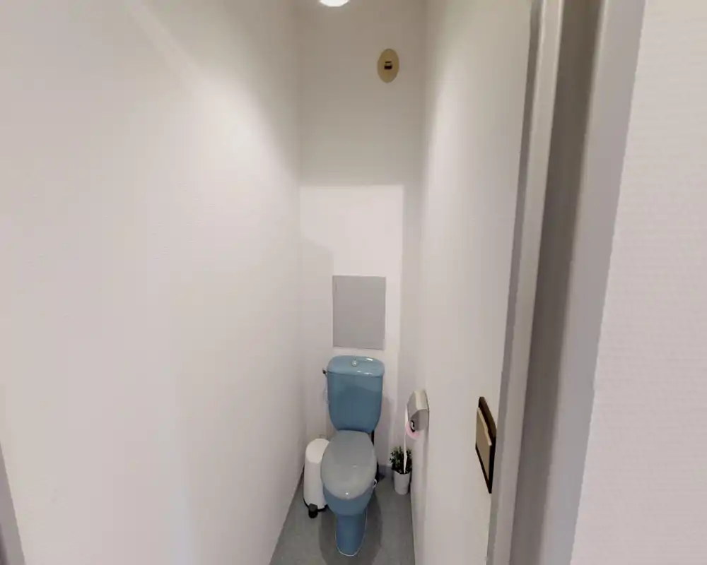 Compact, well-lit WC with a blue toilet, wall-mounted toilet paper holder and small plant — tidy and ready for use.