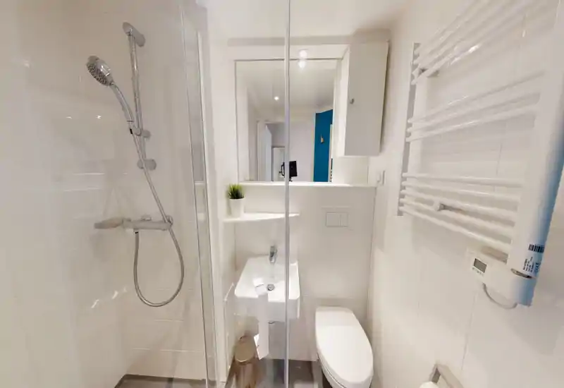 Salle de bain moderne et compacte avec cabine de douche en verre, lavabo mural, WC et radiateur porte-serviettes ; carrelage blanc lumineux et petite plante pour une touche fraîche.
