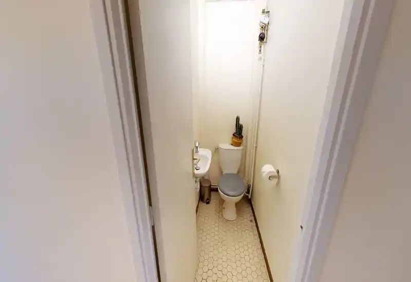 Piccolo bagno ben illuminato con pavimento esagonale, lavabo compatto e wc con una pianta sul serbatoio — toilette ordinata e luminosa.