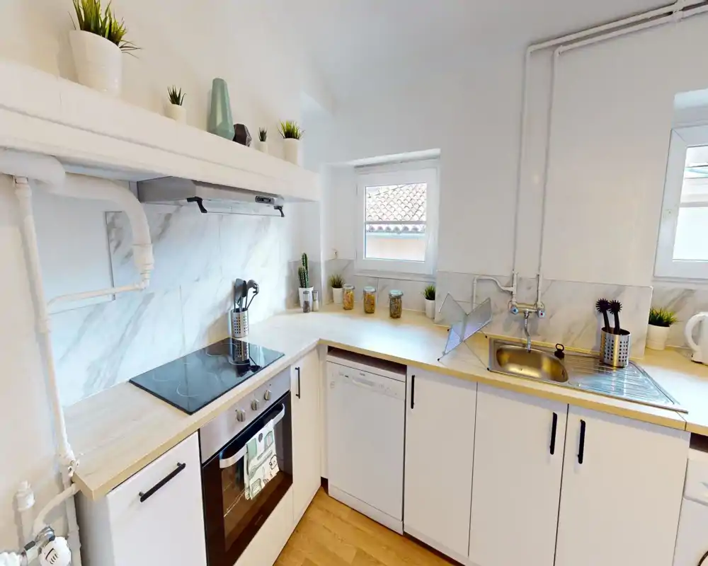 Cucina compatta e luminosa con forno incassato e piano a induzione, lavabo in acciaio, lavastoviglie e piani in legno chiaro. Piccole piante e barattoli decorativi rendono l'ambiente ordinato e accogliente.