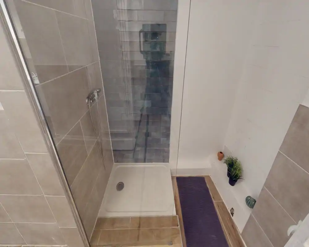 Doccia in bagno moderno con piastrelle, cabina in vetro, piatto doccia e doccetta a mano visibili; pavimento curato e piccole piante decorative su un ripiano.