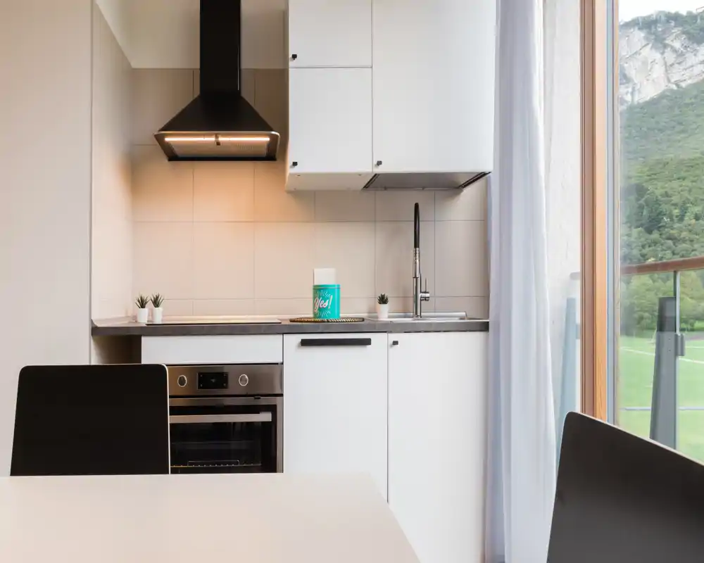 Modern compact kitchen with white cabinetry, built-in oven, extractor hood and a sink beside a large window that brings abundant natural light. Small decorative plants and clean lines create an inviting, contemporary space ideal for short-term rentals.