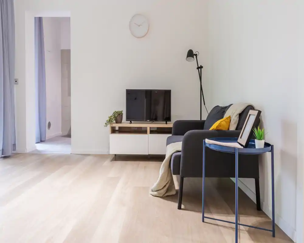 Bright modern living area with a compact sofa, side table and TV stand — minimal, cozy styling and light wood floors creating an airy feel.
