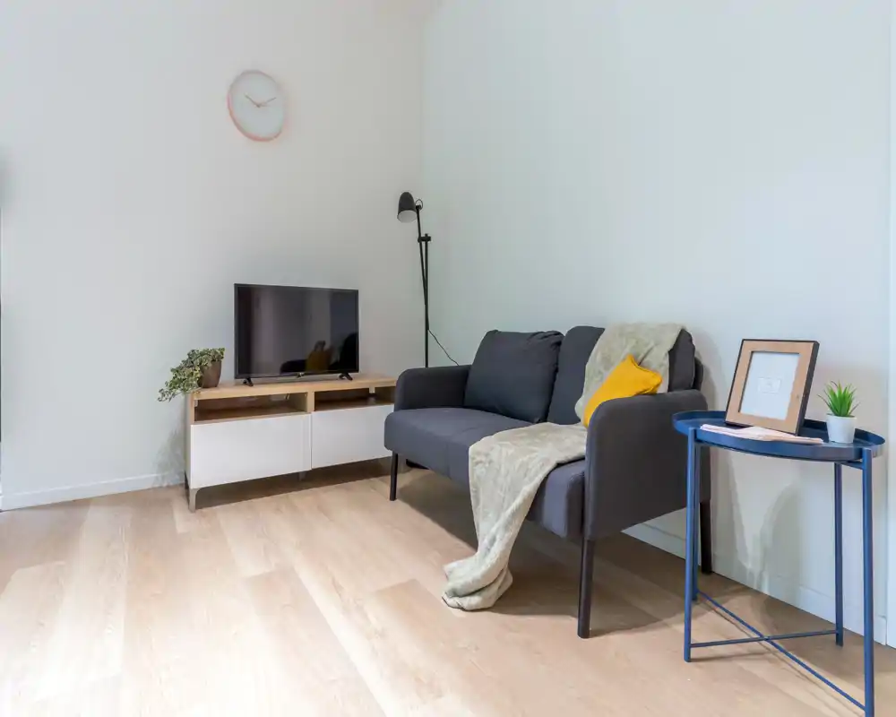 Bright, modern living area with a compact dark sofa, decorative throw and cushions, TV on a low media unit and a side table with plant — a cozy, minimal lounge space ideal for relaxing.