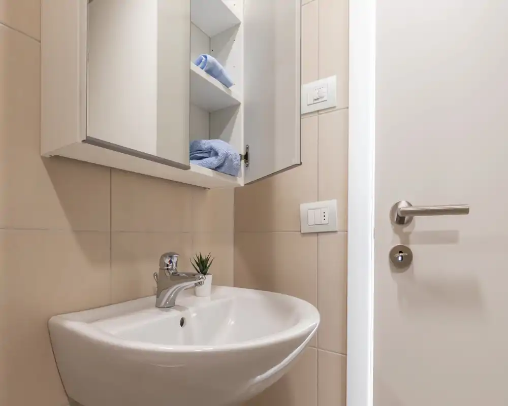 Piccolo bagno moderno con lavabo sospeso in ceramica bianca, mobile a specchio a parete, rubinetto cromato e una piccola pianta decorativa — luminoso e ordinato.
