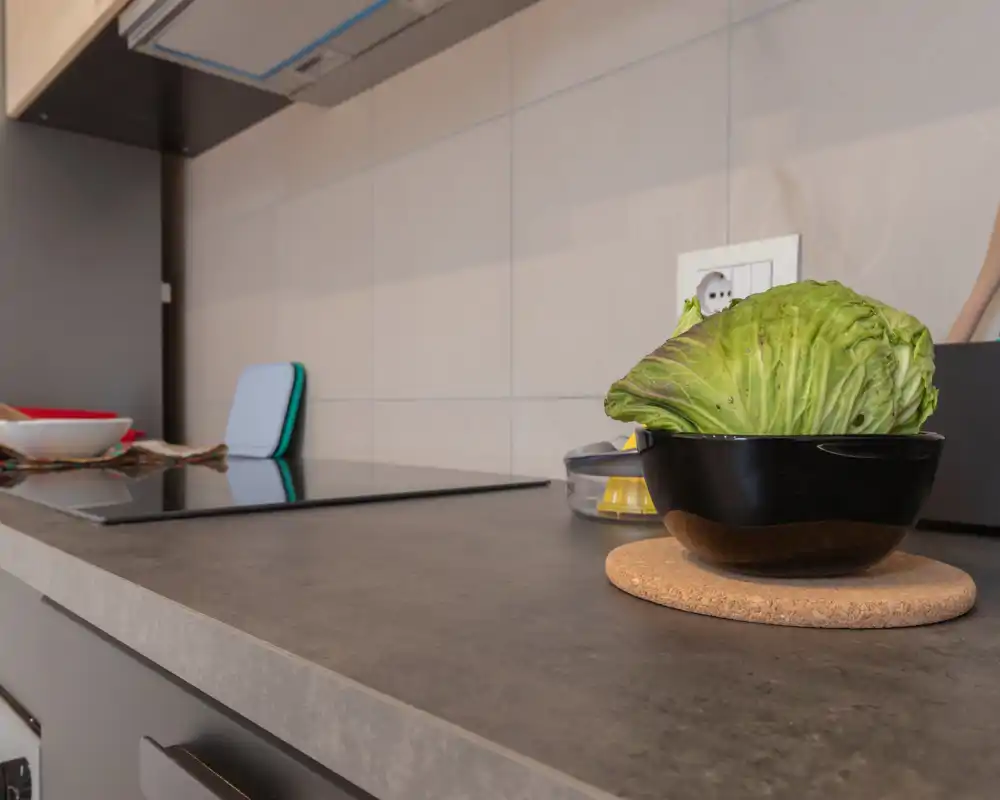 Encimera de cocina moderna con placa de inducción y un bol con una cabeza de repollo; salpicadero de azulejos limpio y superficie ordenada.