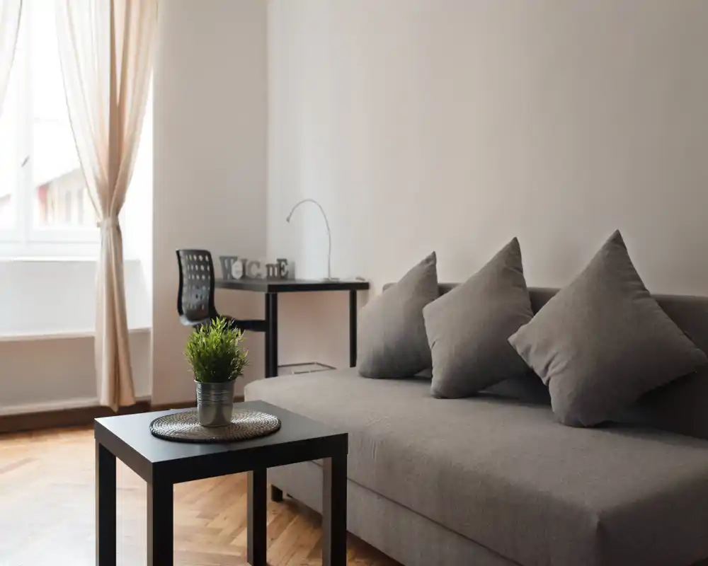 Bright, modern living room with a grey sofa, decorative cushions, a small black coffee table and a potted plant; natural light from a curtained window creates an inviting atmosphere.
