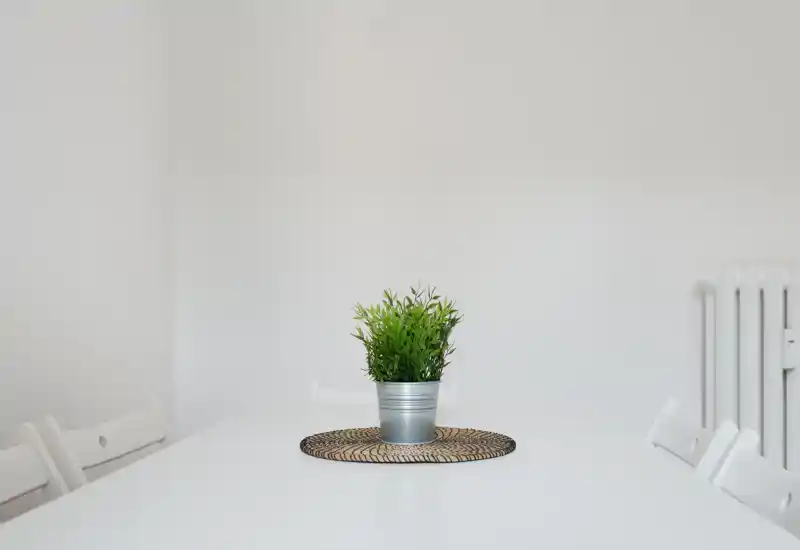 Zona pranzo minimal e luminosa con tavolo bianco, sedie essenziali e una piccola pianta in vaso al centro — perfetta per annunci moderni e puliti.
