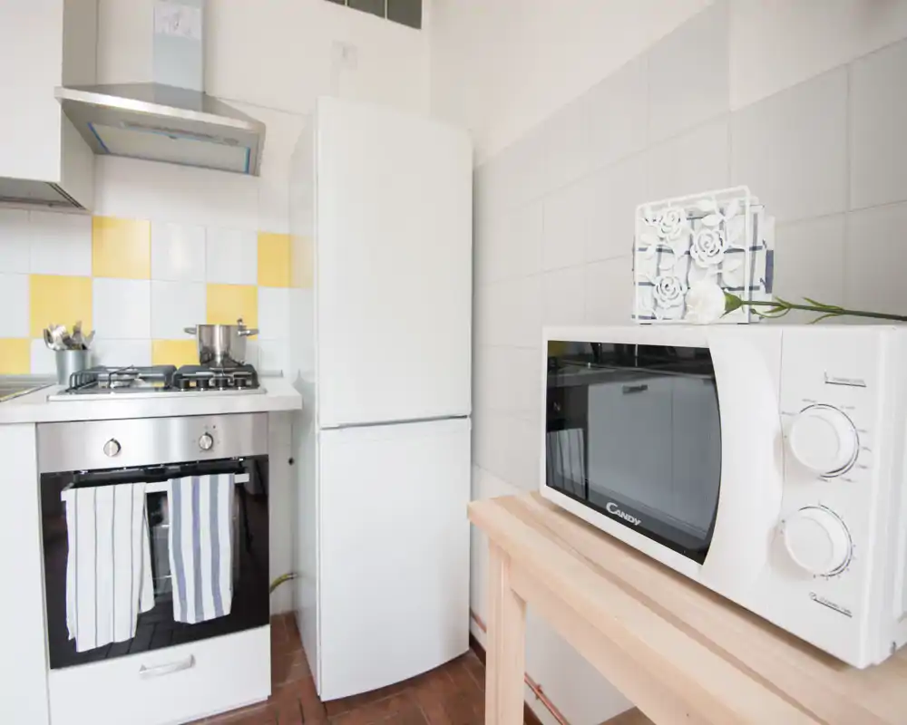 Cucina compatta e luminosa con piano cottura a gas, forno, frigorifero e microonde su un piano in legno. Piastrelle pulite e pochi dettagli decorativi la rendono pratica e accogliente.