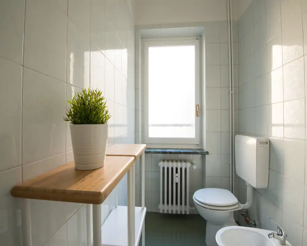 Baño compacto y luminoso con inodoro empotrado, bidé, radiador bajo la ventana y una repisa de madera con una planta en maceta.