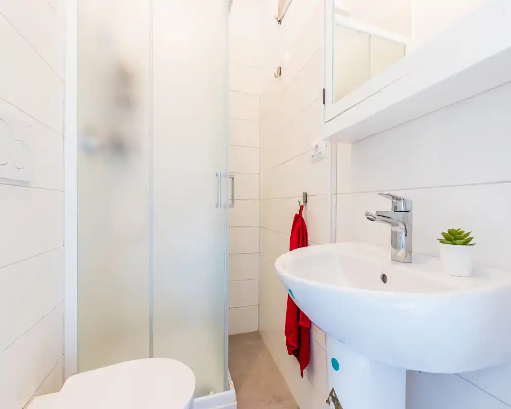 Salle de bain compacte et lumineuse avec une douche en verre dépoli, un WC mural et un lavabo sur pied à robinetterie chrome moderne. Carrelage blanc propre et une petite succulente pour un style minimal et frais.