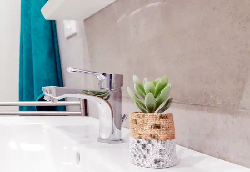 Bright, modern bathroom sink detail featuring a chrome faucet and a small potted succulent on a clean white basin against a neutral tiled wall.