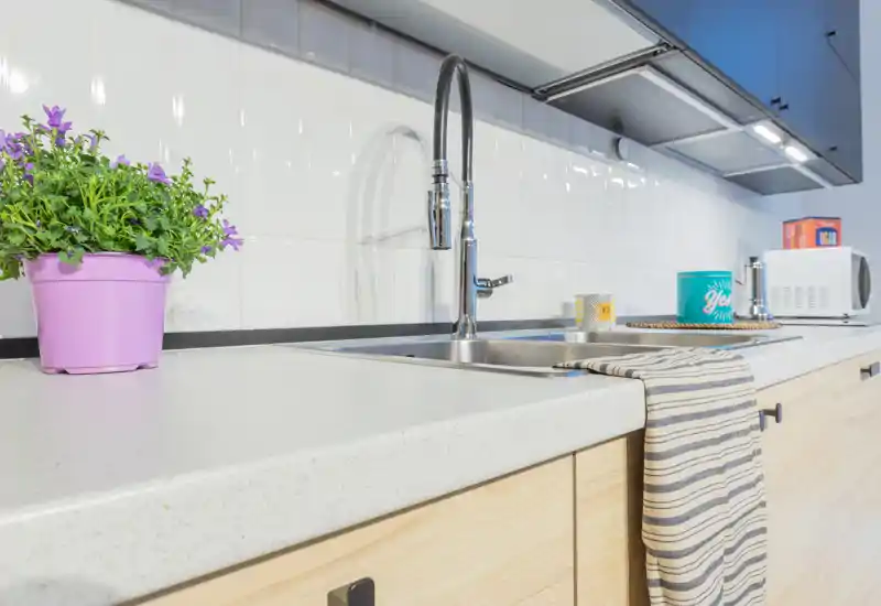 Bright, modern kitchen countertop with stainless steel sink, tall faucet, decorative plant and neatly placed accessories for a fresh, welcoming look.