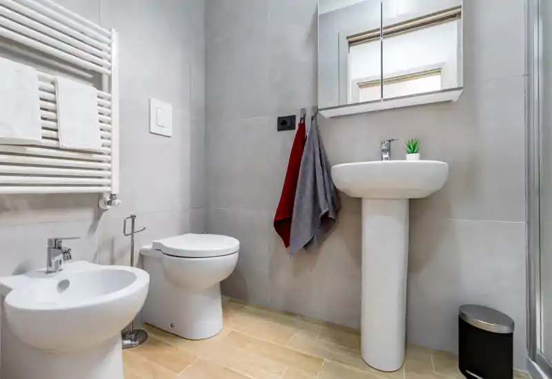 Modern, compact bathroom with pedestal sink, toilet, bidet, wall-mounted towel radiator and mirrored cabinet; neutral grey tiles and warm wood-look floor create a clean, contemporary look.