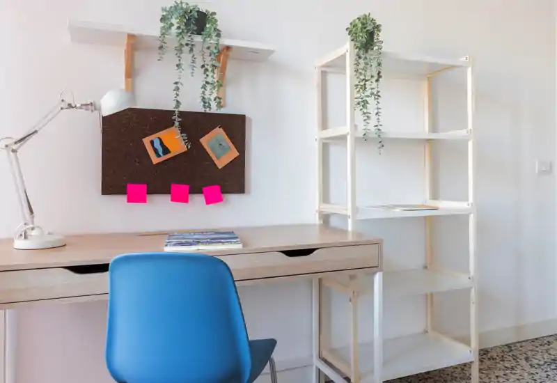 Small, bright workspace corner with a wooden desk, blue chair, shelving unit and decorative hanging plants; ideal for study or remote work.